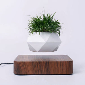 Floating-Plant-Pot-product-photo-dark-brown-with-small-dark-green-plant