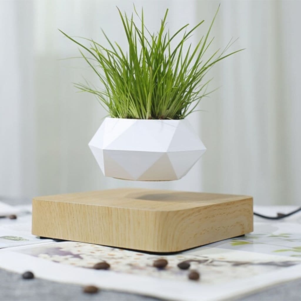 Floating-Plant-Pot-product-photo-light-brown-with-small-light-green-plant-on-table