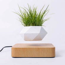 Load image into Gallery viewer, Floating-Plant-Pot-product-photo-light-brown-with-small-light-green-plant
